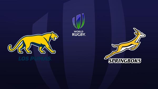 Argentina vs. South Africa - Rugby Union Internationals