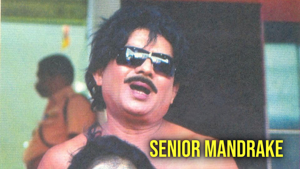 Senior Mandrake