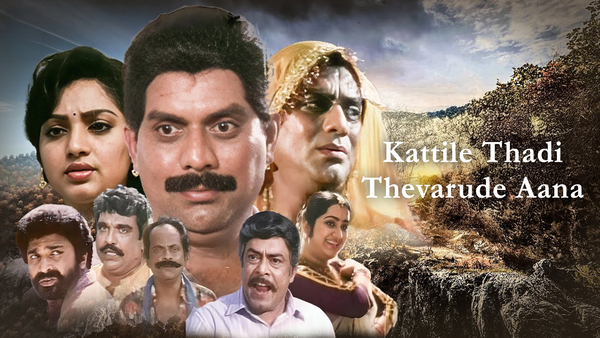 Kattile Thadi Thevarude Aana